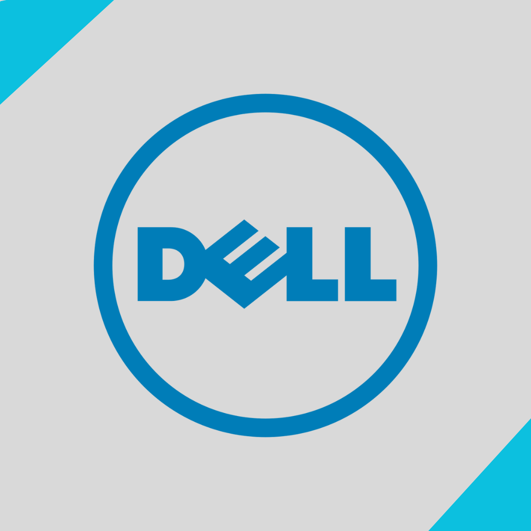 Dell Laptop Charger